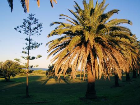 Golf...Surf...Plage...2
